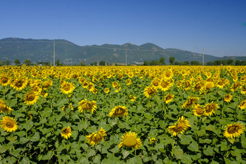 Country landscape between Rieti (Lazio) and Terni (Umbria)