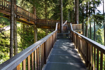 The highest tree crown trail in Europe, Saalbach-Hinterglemm valley, Alps Mountains, Austria, summer day