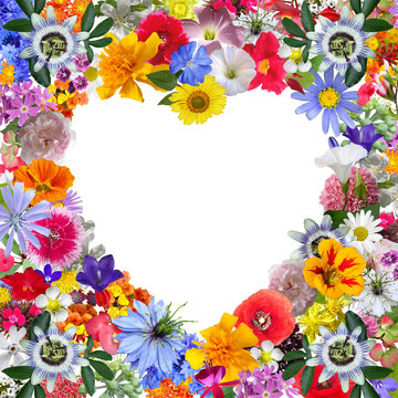 Colorful Heart Frame made with Garden Flowers