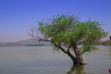 G&ouml;lc&uuml;k Bursa 