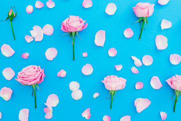Fototapeta na wymiar Floral pattern with pink roses buds and petals on blue background. Flat lay, Top view. Spring time composition
