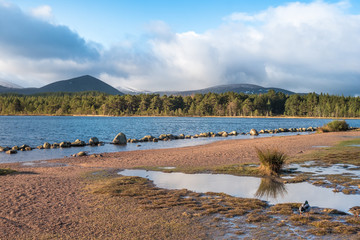 Loch Morlich (Mhurlaig)near Aviemore within the Cairngorms National Park in the Highlands of Scotland.