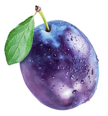 Plum with water drops. File contains clipping path.