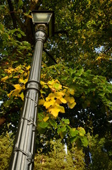 Old classic street lamp in Florence during autumn season. italy.