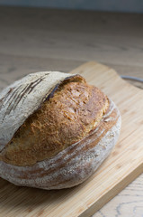 Wheat bread