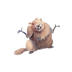 Happy Groundhog Day - hand drawing watercolor groundhog