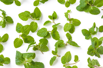 スペアミント © cozykyoto