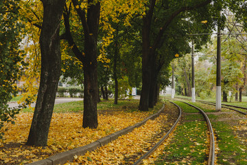 Naklejka na ściany i meble Railway or tramway track near beautiful autumn warm dry city park, bright warm fall colors, yellow leaves.