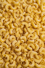 Traditional Italian pasta cavatappi