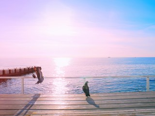 Vacation concept sea and doves