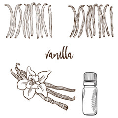Vanilla flower and bootle spicy