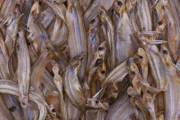 close up salted dried fish .