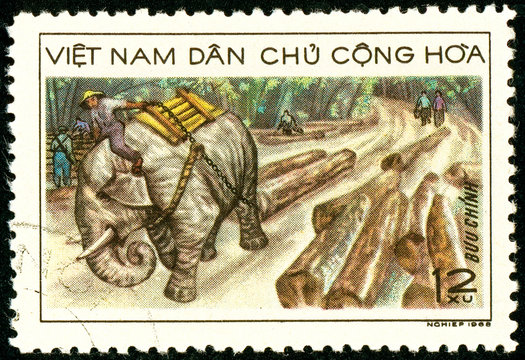 Ukraine - circa 2018: A postage stamp printed in Vietnam shows Elephant Dragging Wood. Series: Transport. Circa 1968.