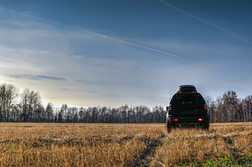 Off-road car on the field