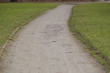 Obraz premium path in the park