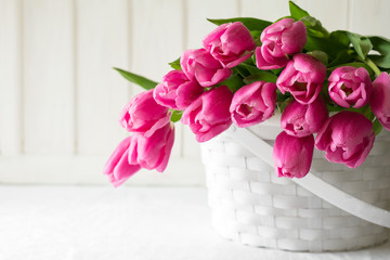 Violet tulips bouquet in basket in front of white wooden wall. Space for copy