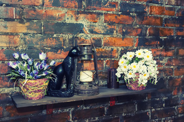 The figure of a black cat