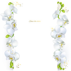 Orchid. White flowers. Tropical plants. Frame. Border. Congratulation. Vector background.