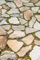 stone pavement and grass