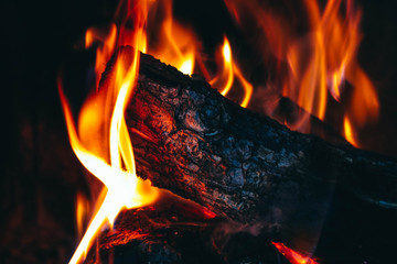 Fototapeta premium Colorful fire flame, burning wood at the fireplace. Firewood log in the fire chimney, closeup.