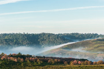  sunrise and the mist