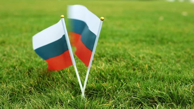 Flag of Russia on the grass. Flags of the Russian Federation on a green lawn.