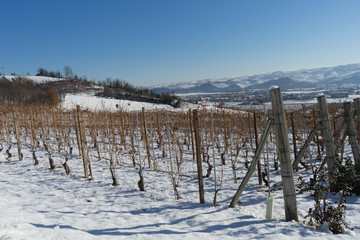 View of the Langhe hills with snow