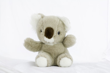 soft toy teddy bear  sitting on white background.