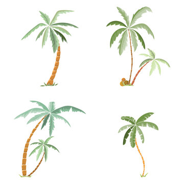 Hand drawn tropical palm trees set.