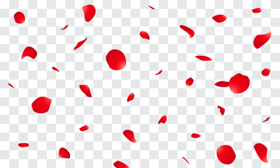 Falling Rose petals Vector illustration. Red rose petals on fake transparent background - obrazy, fototapety, plakaty