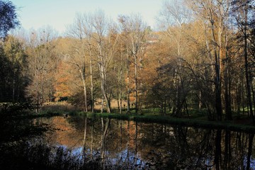 Fototapeta na wymiar étang en automne