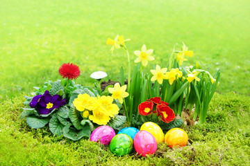 Easter, Ostern, Ostereier, Osternest, Blumen, Narzissen, Primeln, Wiese, Textraum, copy space