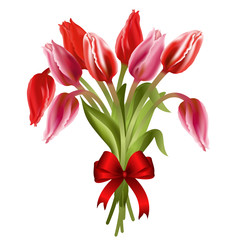 Bunch of red and pink tulips with red bow.  Realistic vector illustration on white background.