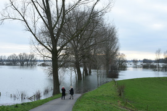 hoogwater bij de rivier de Rijn 