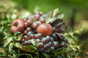 composition of fruits and leaves on blurred background.