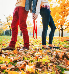 Closeup on young couple holding leash together in autumn park