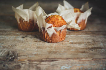 cupcakes for dessert (muffins) festive sweet treat