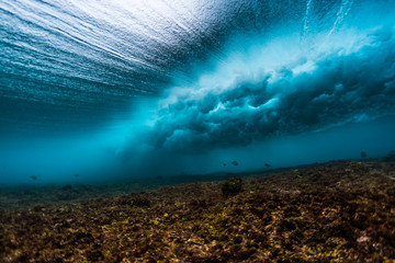 Underwater view of an ocean wave breaking over coral reef