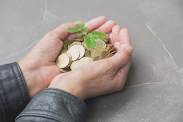 Male holding money gold coins with plant in his hand for financial and saving money concept.