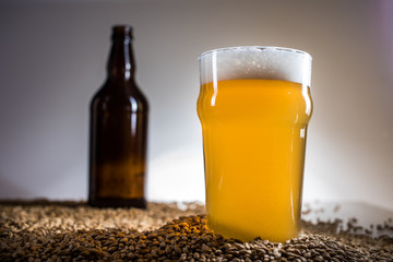 Homebrew Blonde Pint and empty bottle of Beer on Pislner Malt Grain