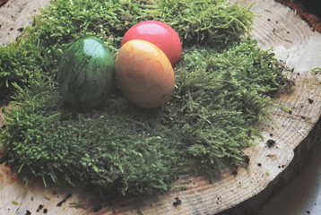colored real easter eggs on real green moss