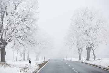 dangerous winter road