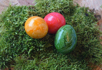 colored real easter eggs on real green moss