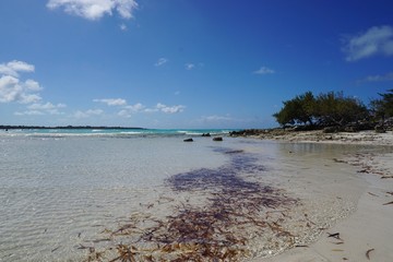 Strand auf Cayo Coco, Jardines Del Rey auf Kuba | Karibik