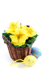 Flowerpot of yellow primula with Easter eggs.