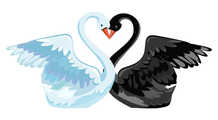 swan couple vector
