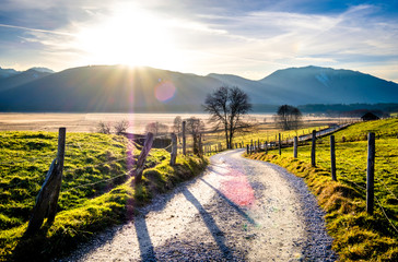 landscape murnauer moos - bavaria