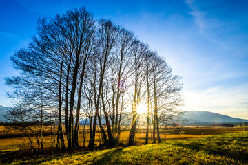 landscape murnauer moos - bavaria