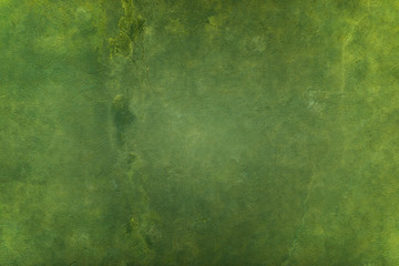 Close-up green painted concrete wall texture background.