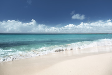 Fototapeta na wymiar beach on Catalina island Dominican republic